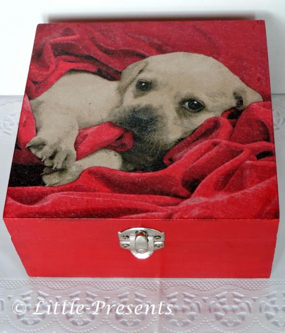 Schmuckbox, Geschenkbox Hundewepe 